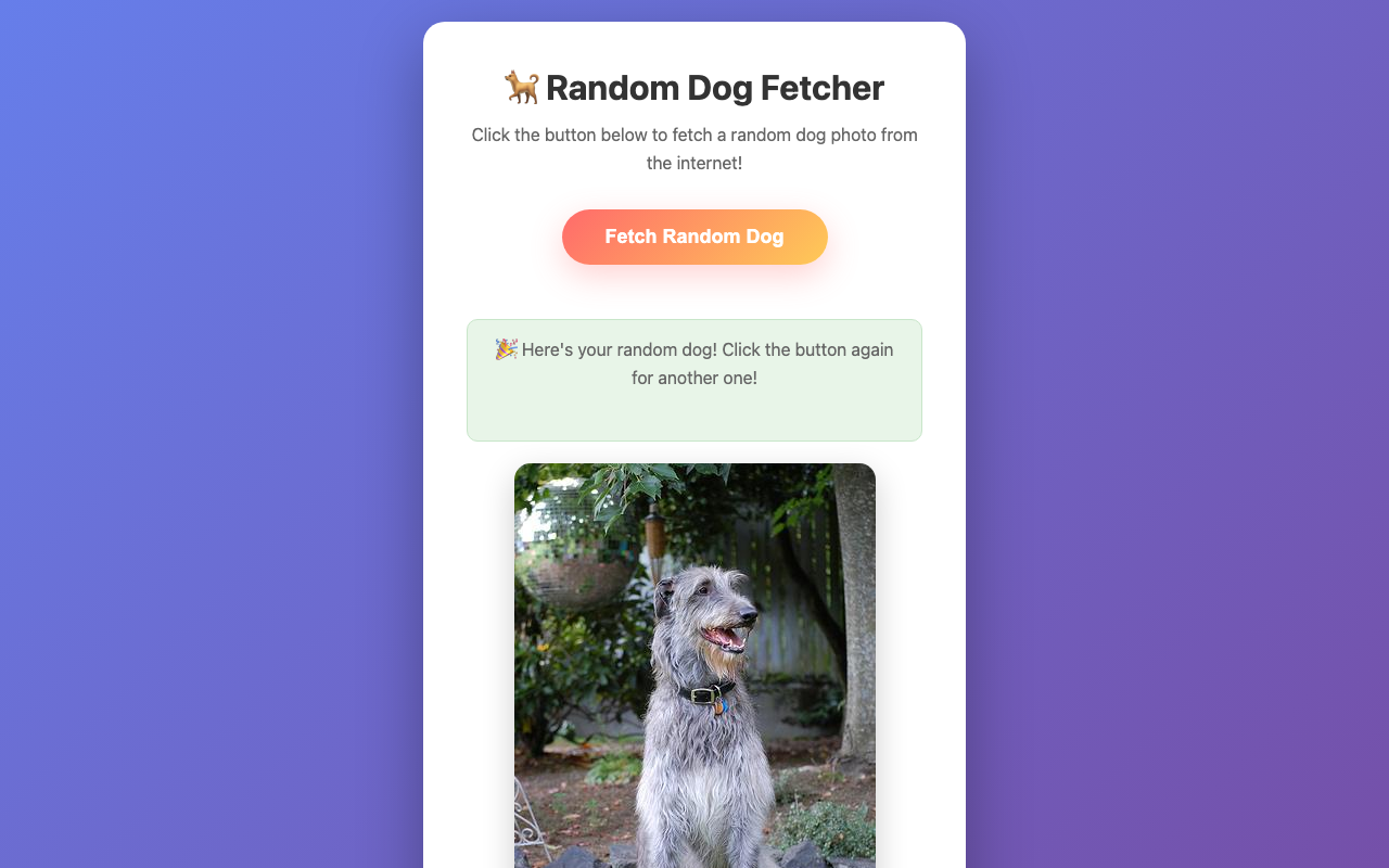 cohere/north-mini-code:free - Simple API integration